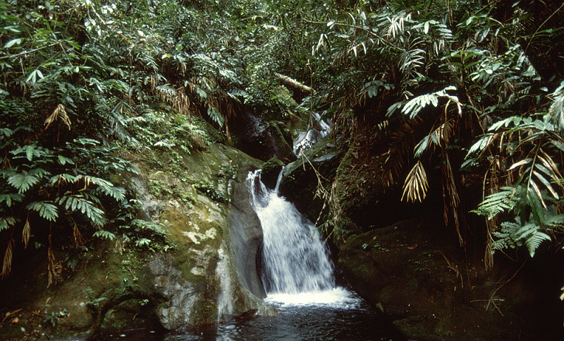 809_In Gurung Kinabalu NP.jpg